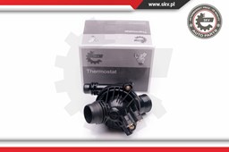 Termostat układu chłodzenia