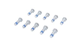 Śruba, zacisk hamulcowy