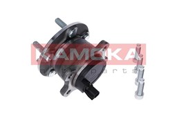 Zestaw łożysk koła