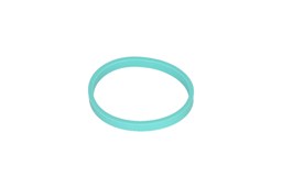 Uszczelka kolektora ssącego