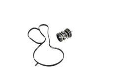 Termostat układu chłodzenia