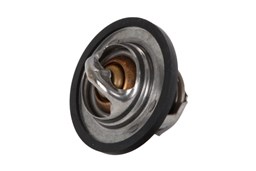 Termostat układu chłodzenia